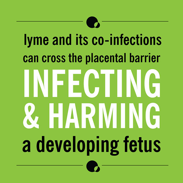 Lyme and its co-infections can cross the placental barrier, infecting and harming a developting fetus